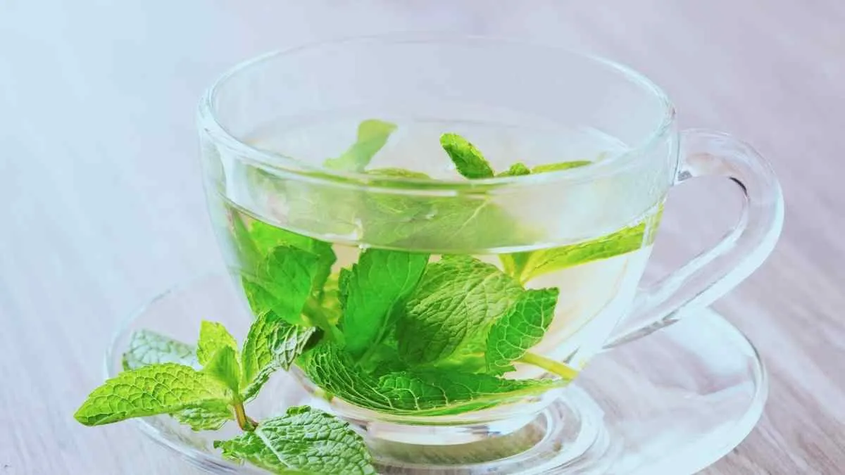 Classic Peppermint Tea