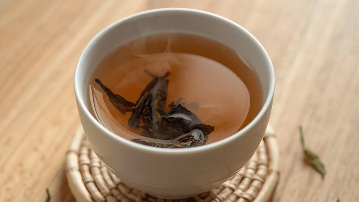 Oolong Tea