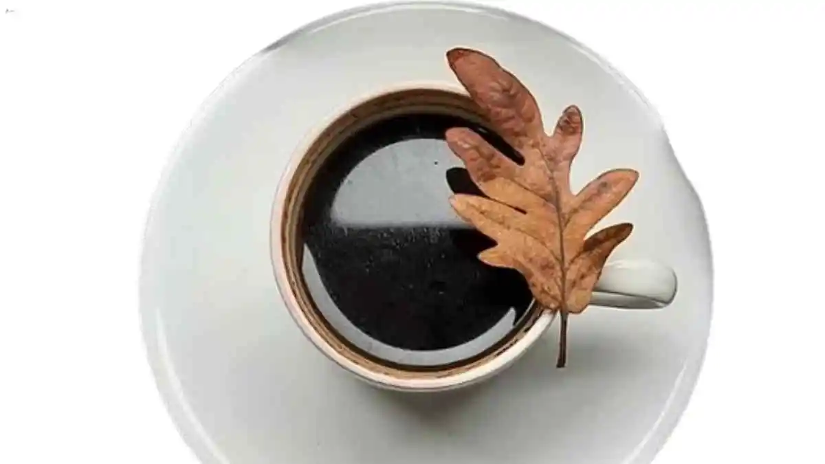 Types Of Tea