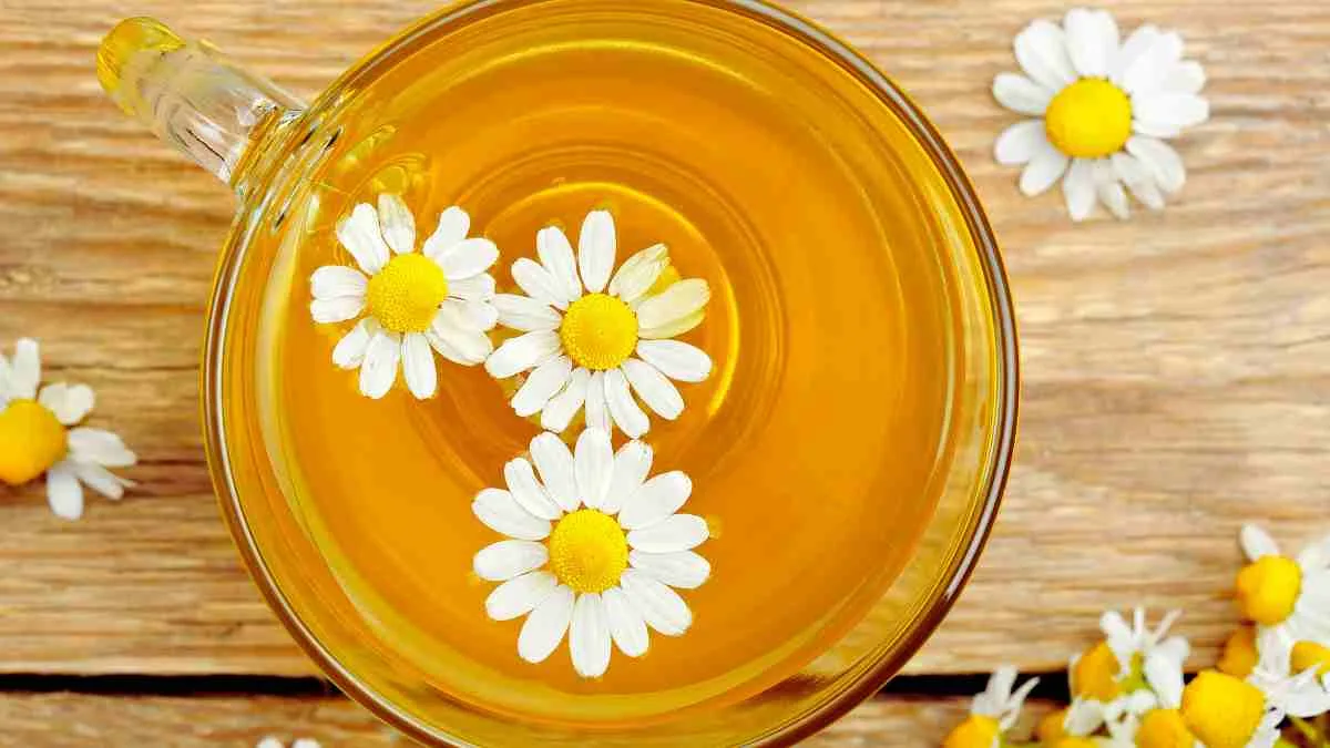 Chamomile Tea